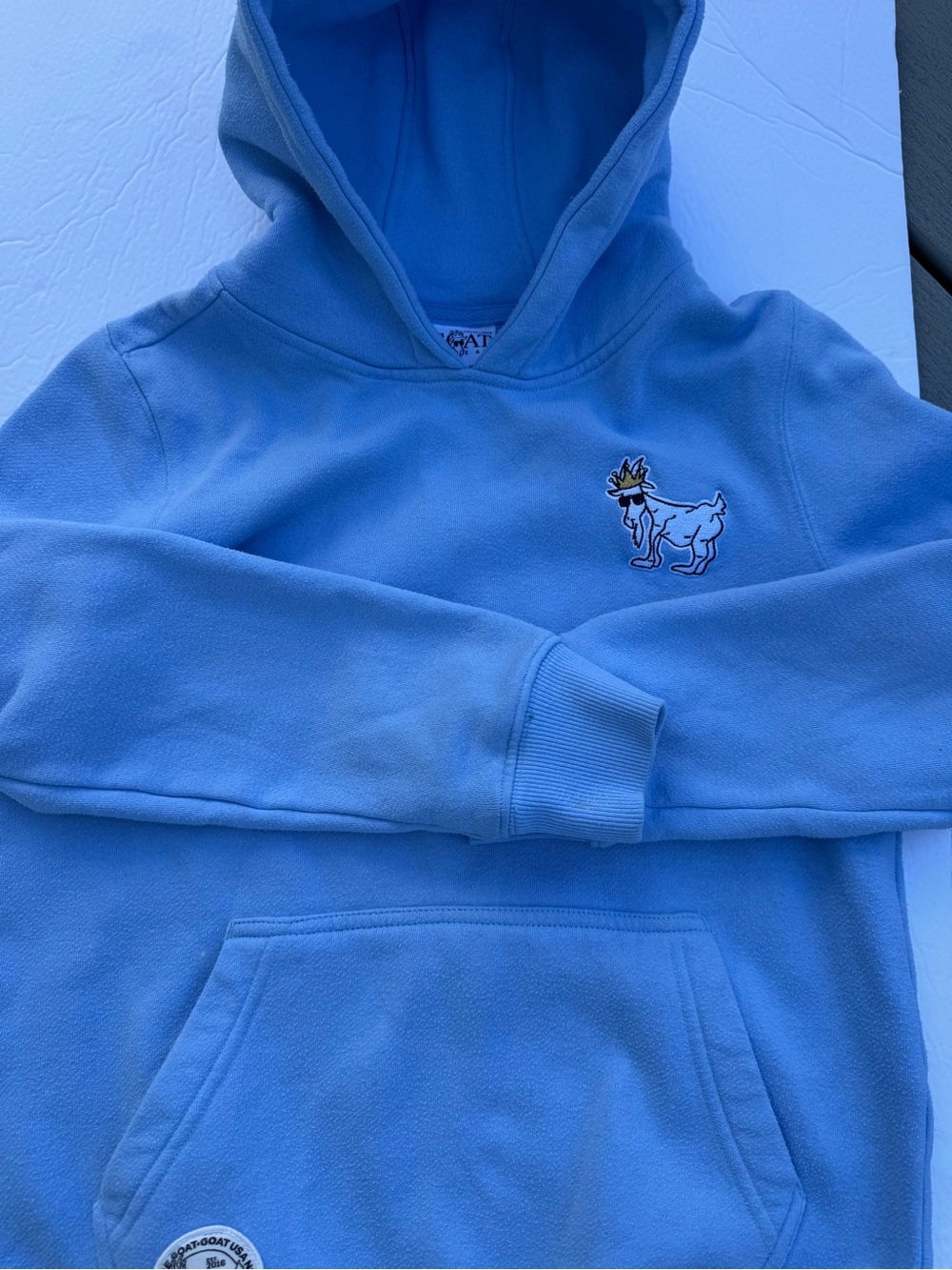GOAT USA Kids Light Blue Hooded Pullover Sweatshirt with Embroidered Goat